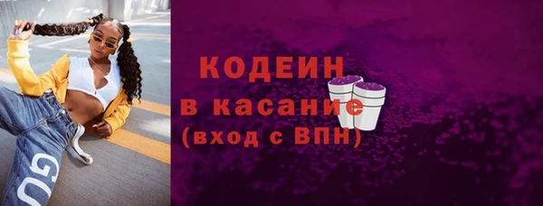 мдпв Краснослободск