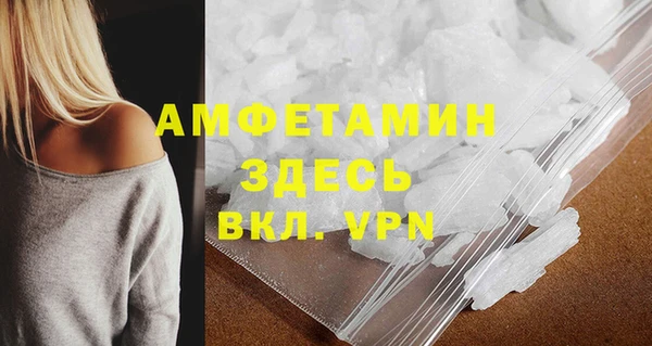 мдпв Краснослободск