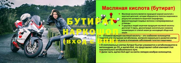 мдпв Краснослободск