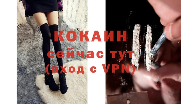 мдпв Краснослободск